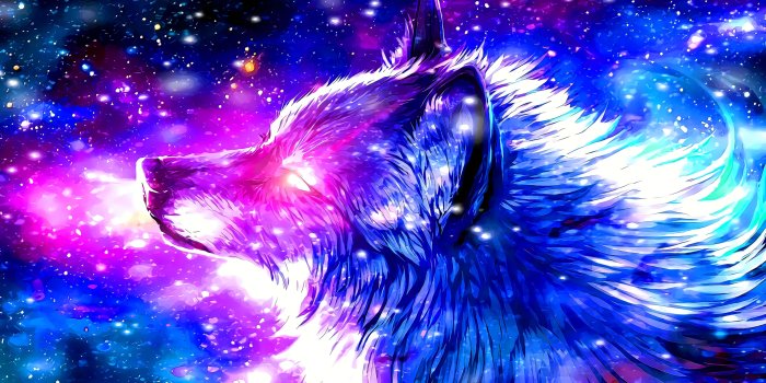 3840x2160 Galaxy Wolf Wallpapers 4K - Wolf-Wallpapers.pro