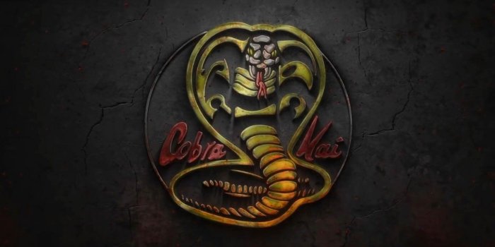 1920x1080 Cobra Kai Computer Wallpapers