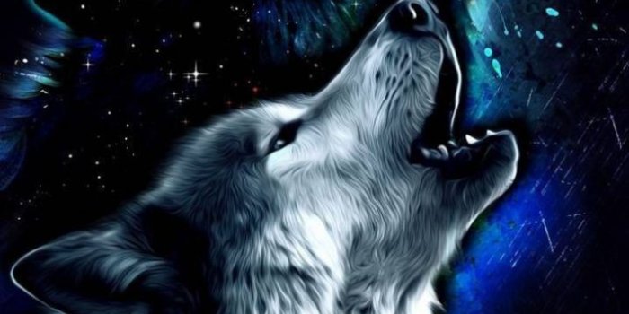 715x1271 Galaxy Wolf Wallpaper - Wallpaper Sun