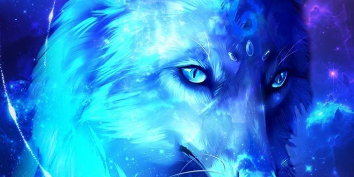 720x1280 Galaxy Wolves Wallpapers