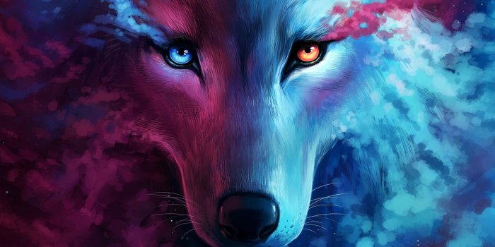 1440x900 1440x900 The Galaxy Wolf 1440x900 Resolution HD 4k Wallpapers, Images,  Backgrounds, Photos and Pictures