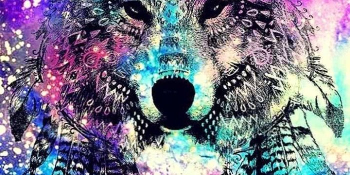 720x1281 Best Galaxy Wolf Wallpapers - Wolf-Wallpapers.pro