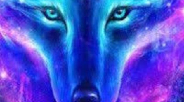 630x1280 Galaxy wolf wallpaper by bluey_djsongs - Download on ZEDGE™ | 63e2