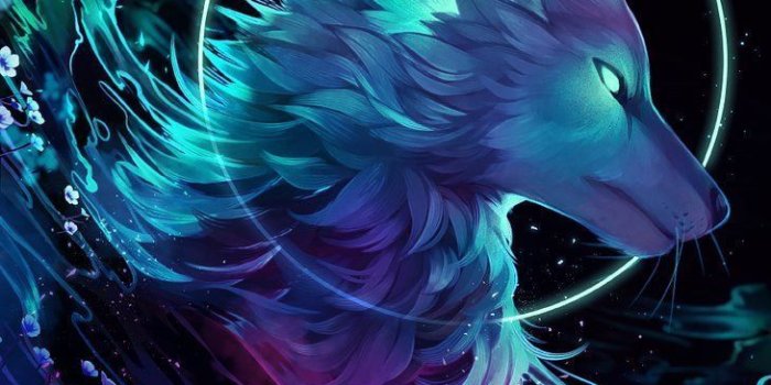 730x1095 70 Galaxy Wolf ideas | galaxy wolf, wolf wallpaper, wolf artwork