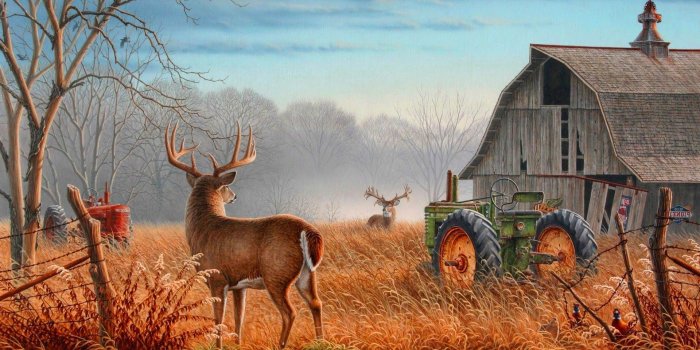 1920x1200 Free download Deer Hunting Wallpaper HD KoLPaPer Awesome HD Wallpapers  [1920x1200] for your Desktop, Mobile & Tablet | Explore 30+ Hunting  Backgrounds | Hunting Wallpaper, Hunting Wallpapers, Deer Hunting  Backgrounds