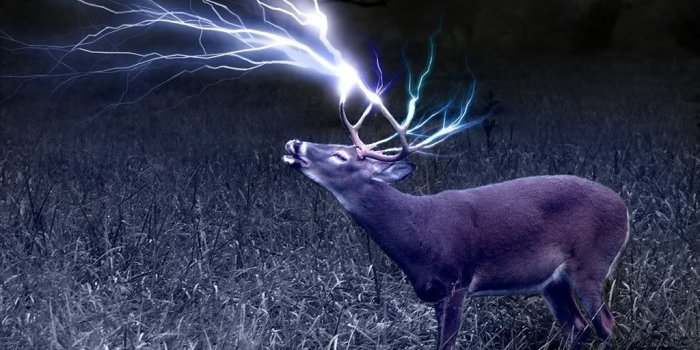 1024x768 bow hunting wallpapers? | Hunting wallpaper, Whitetail hunting, Animals