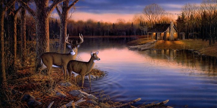 1920x1080 Deer Hunting Wallpaper Border | … ,landscape wallpaper Picture 1080p hd  wallpaper
