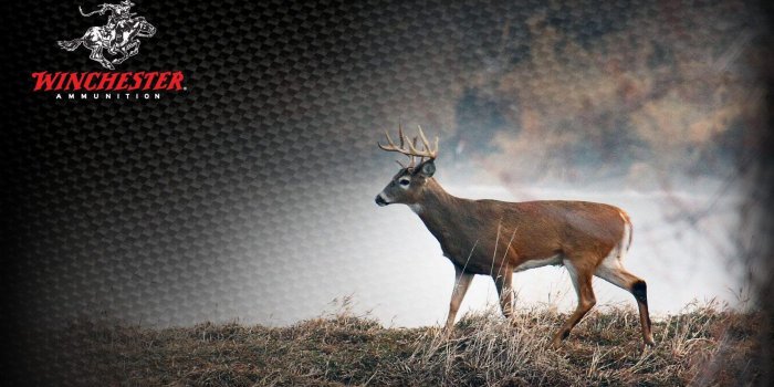 1680x1050 Deer Hunting Wallpapers