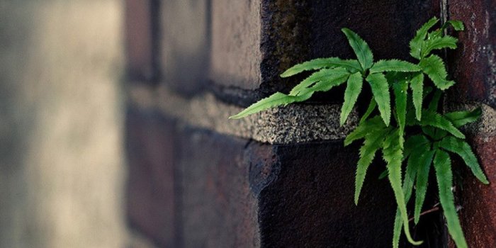 1000x1600 Hope - Photography Background For Photoshop - 1000x1600 Wallpaper -  teahub.io