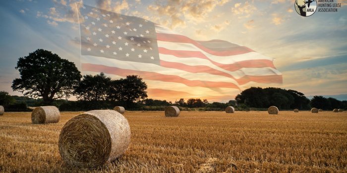 2560x1440 Hunting Wallpapers - Top Free Hunting Backgrounds - WallpaperAccess | Hunting  wallpaper, Hunting backgrounds, Wallpaper