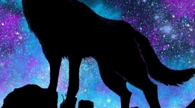 630x1280 Galaxy wolf wallpaper by VengenceWolf - Download on ZEDGE™ | 7508