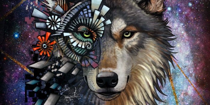 1080x1921 Galaxy Wolf Wallpaper - Wallpaper Sun