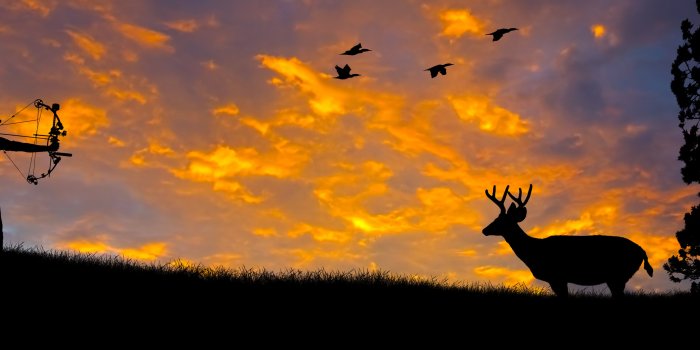 3897x1540 cool hunting wallpapers,sky,nature,wildlife,sunset,deer (#335714) -  WallpaperUse