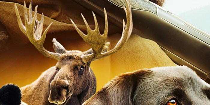 1284x2778 hunting iPhone Wallpapers Free Download