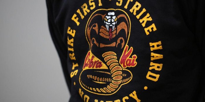 1024x768 Cobra Kai Wallpaper - Cobra Kai Wallpaper (43746861) - Fanpop