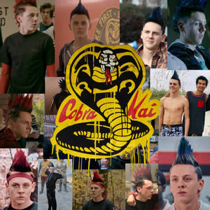 300x300 42 Cobra Kai Wallpapers & Backgrounds For FREE | Wallpapers.com