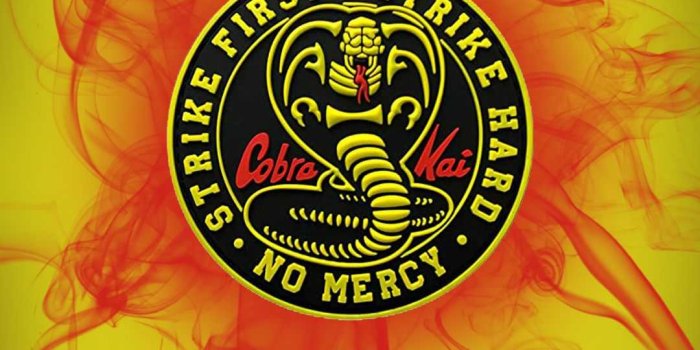 1080x2340 Cobra Kai Wallpaper - IdleWP