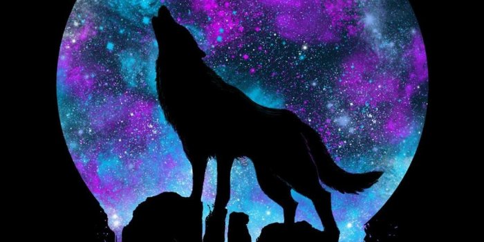 1080x1920 Phone Wallpaper - - Galaxy Wolf (#368964) - HD Wallpaper & Backgrounds  Download