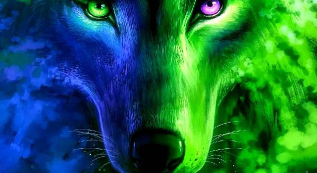 640x1280 Wolf 4k Wallpapers - Top Best Wolf Wallpapers Download