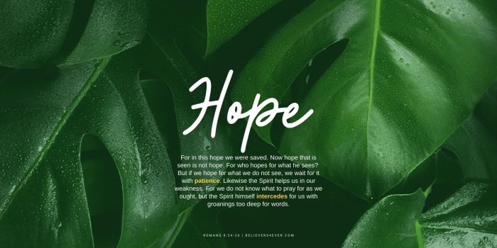 1920x1280 For in this hope wallpaper - Believers4ever.com