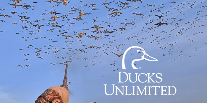 2048x2732 Ducks Unlimited Mobile Wallpaper