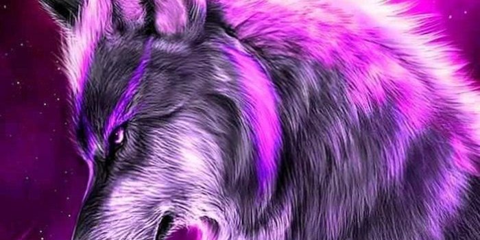 704x1252 Galaxy Wolf Wallpapers Zedge - Wolf-Wallpapers.pro