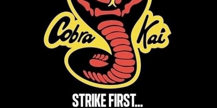 720x1440 Cobra Kai Logo Wallpapers