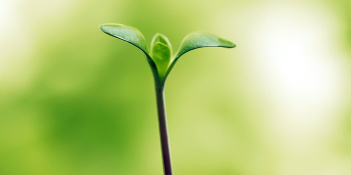 1920x1200 Hope wallpapers | Hope stock photos