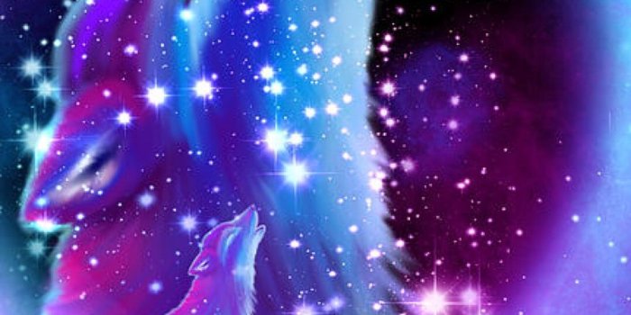 1080x1920 Purple Galaxy Wolf Wallpapers