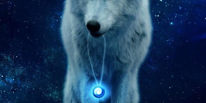 1440x2560 Download wallpaper 1440x2560 wolf, hill, glow, predator, wildlife,  photoshop qhd samsung galaxy s6, s7, edge, note, lg g4 hd background