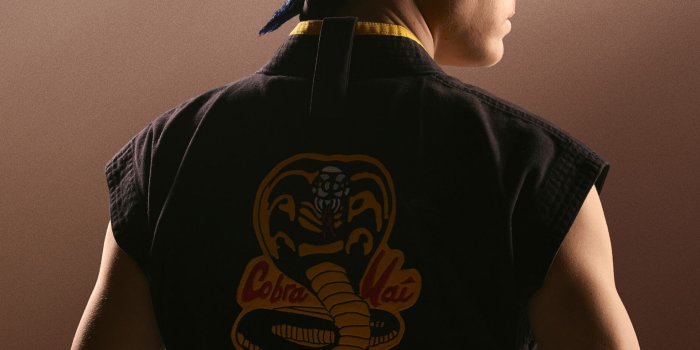 1536x2048 Free download Cobra Kai Hawk Wallpapers posted by Samantha Peltier  [2474x2476] for your Desktop, Mobile & Tablet | Explore 21+ Hawk Cobra Kai  Wallpapers | Hawk Wallpaper, Hawk Wallpapers, Cobra Wallpaper
