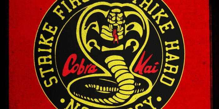 1080x1920 Cobra Kai on Twitter: 