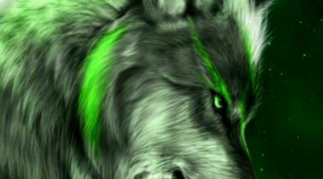 630x1280 Galaxy wolf wallpaper by Thewolf42 - Download on ZEDGE™ | 117c