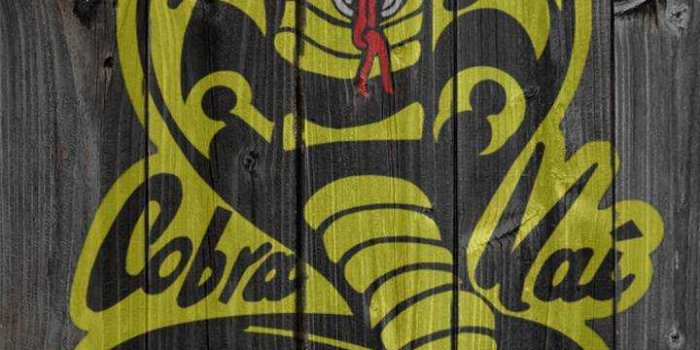 720x1280 Cobra Kai Wallpaper - iXpap