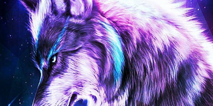 720x1280 wolfstar | Wolf spirit animal, Wolf wallpaper, Wolf artwork