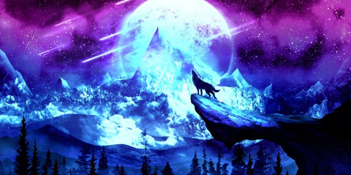 1920x1080 Wolf Wallpapers - Top 50+ Wolf Backgrounds, Photos & Images