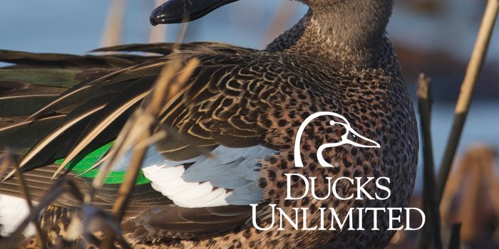 2048x2732 Goose Hunting Wallpaper - Duck Hunting Wallpaper For Iphone - 2048x2732  Wallpaper - teahub.io