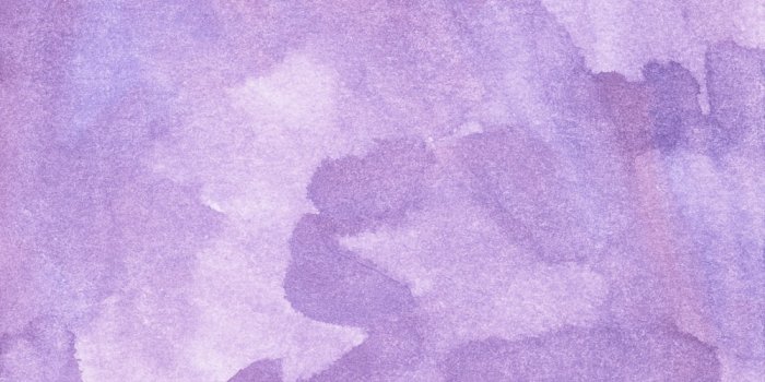 1000x1431 1000+ Pastel Purple Pictures | Download Free Images on Unsplash