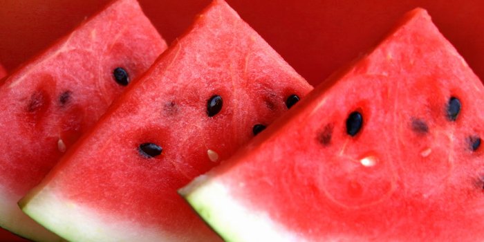 1600x1154 WATERMELON WALLPAPER - What About Watermelon?