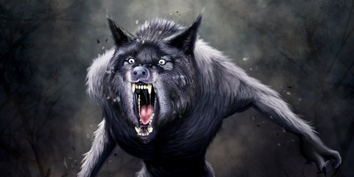 1280x1024 49+] Werewolf Images and Wallpapers on WallpaperSafari