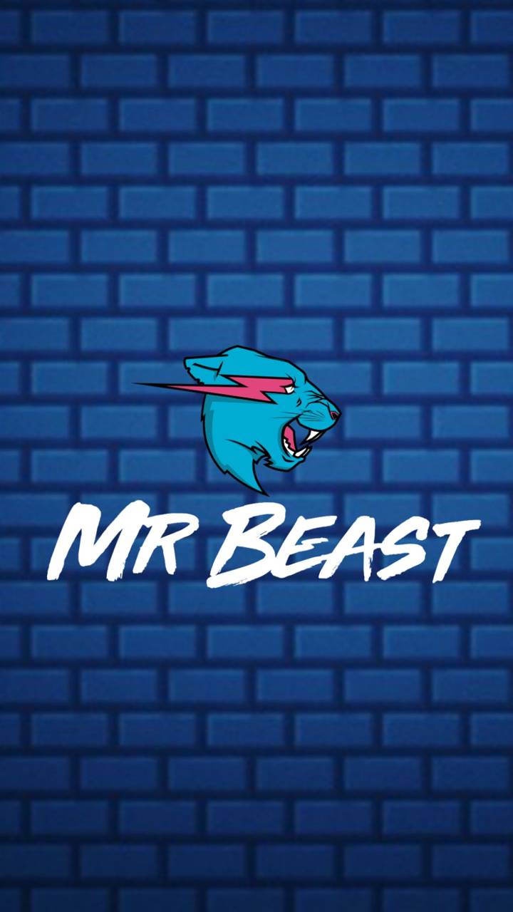 720x1280 Mr Beast Wallpapers - Top Free Mr Beast Backgrounds - WallpaperAccess