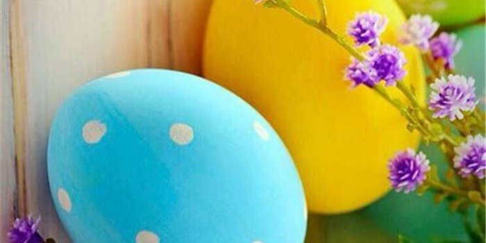 750x1405 Simple Yet Cute Easter Wallpapers You Must Have This Year - Women Fashion  Lifestyle Blog Shinecoco.com