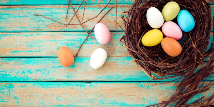 1332x850 Wallpaper branches, basket, eggs, spring, colorful, Easter, vintage, wood,  spring, Easter, eggs, decoration, Happy, tender images for desktop, section  праздники - download