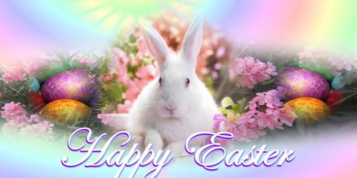 1280x720 FREE 20+ Best Happy Easter Backgrounds in PSD | AI
