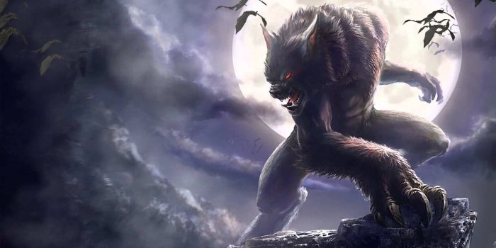 1920x1080 Werewolf Background Wallpaper 15549 - Baltana