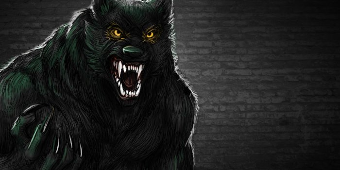 1332x850 Wallpaper wall, wolf, werewolf, toothy, werewolf images for desktop,  section фантастика - download