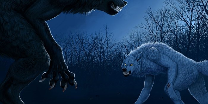 1280x960 Free download Werewolf Computer Wallpapers Desktop Backgrounds [1280x960]  for your Desktop, Mobile & Tablet | Explore 77+ Werewolf Backgrounds |  Classic Werewolf Wallpaper, Ancient Werewolf Wallpaper, 1920 x 1080 Werewolf  Wallpapers