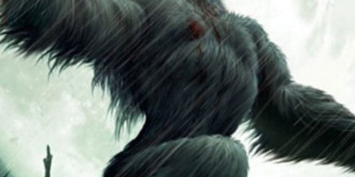 720x1280 Happy APPS: Werewolf Live Wallpaper