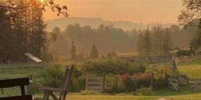 1080x1920 20 Free Cottagecore Wallpapers. |Cottagecore Aesthetics| - HONESTLYBECCA
