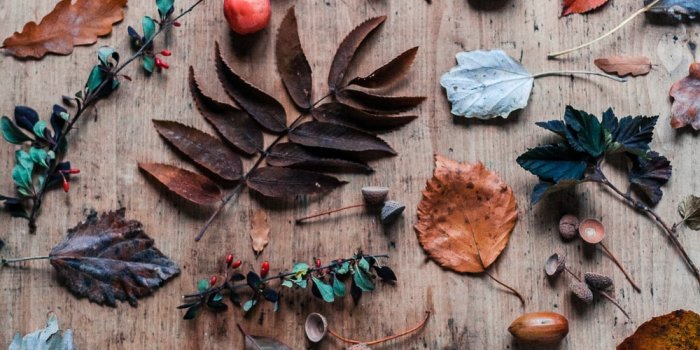 1000x1500 Cottagecore | 31 best free cottagecore, plant, outdoor and building photos  on Unsplash